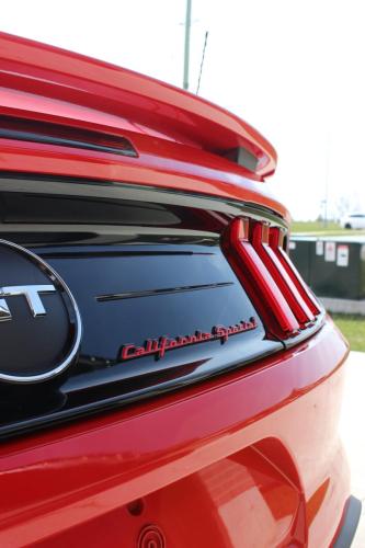 mustang-back